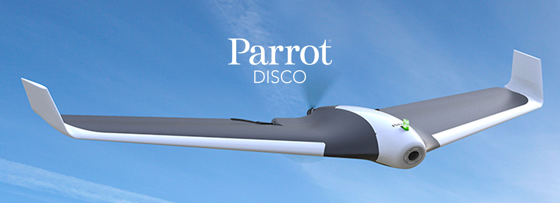 Parrot Disco